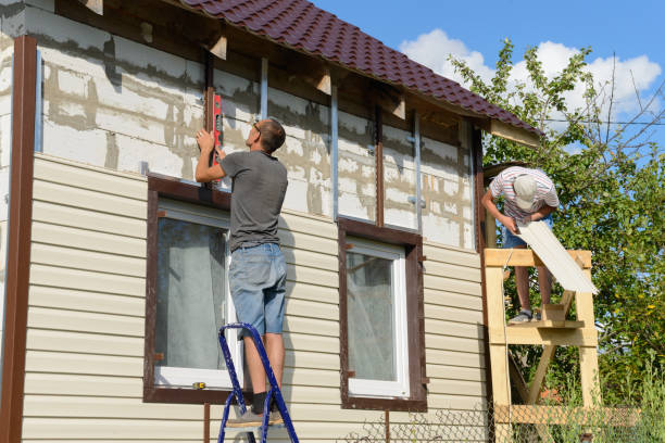 Best Stone Veneer Siding  in Lake Sarasota, FL